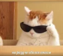 😎