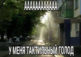🧂