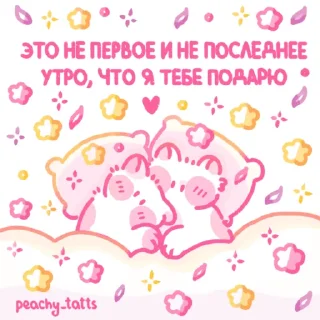 🐈