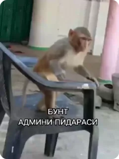 🤬