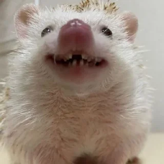 ☺️