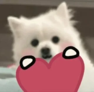 ❤️