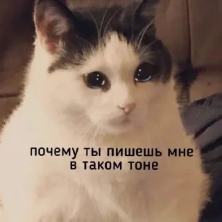 😢