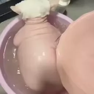 💦