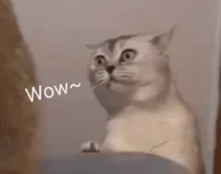 😲