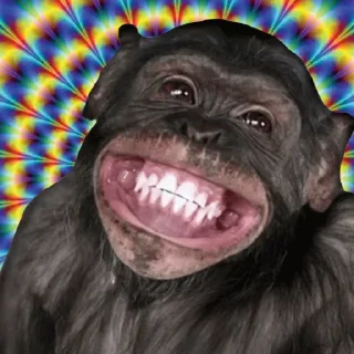 😬