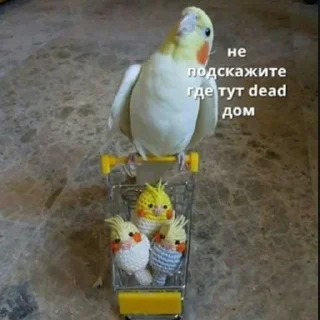 💉