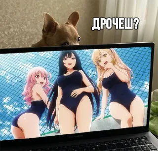 🐶