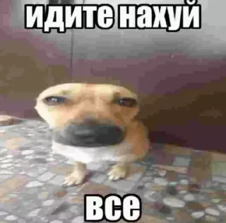 🤬