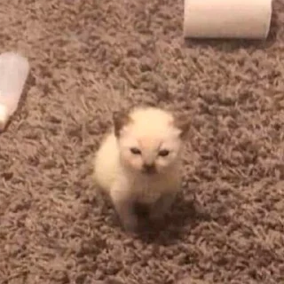 😐