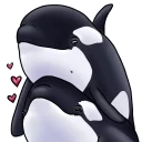 💑