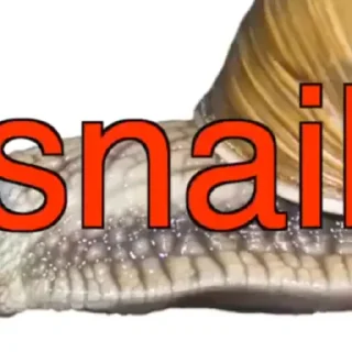 🐌