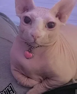 🥺