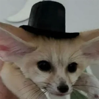 🥸