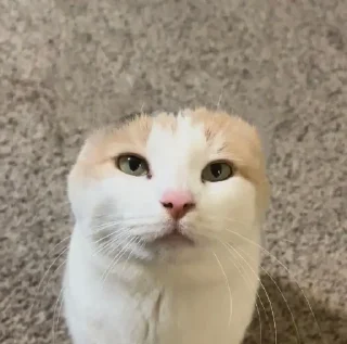 😐