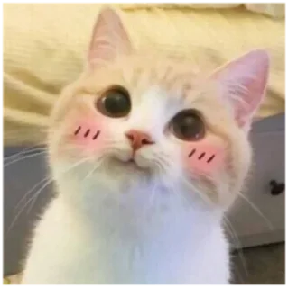 😊