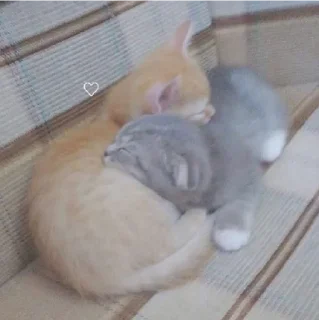 💓