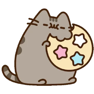 🍪