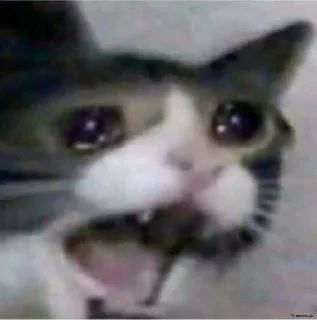 😭