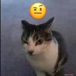 🤨