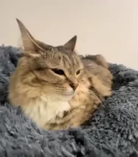 🤨
