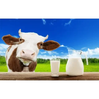 🥛