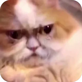 🤬