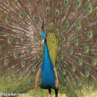 😎