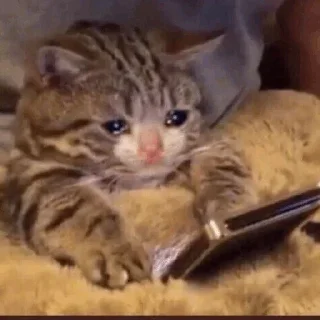 🥺