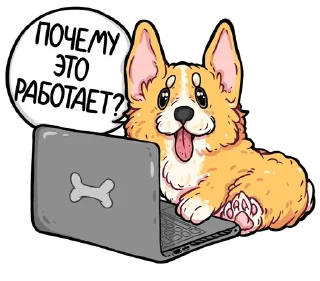 codedog cnsrd (@kotypic)