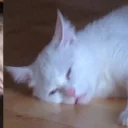 😢