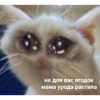 😥