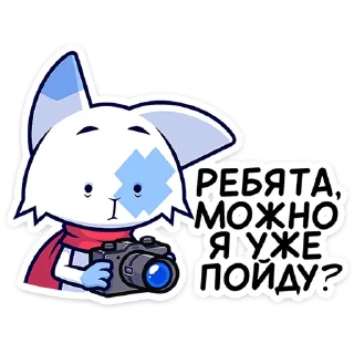 🐱