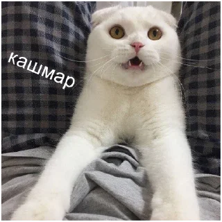 😱