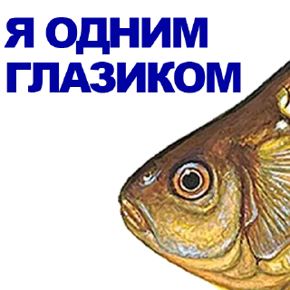 🐠