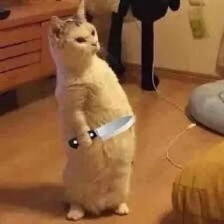 🔪