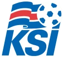 🇮🇸