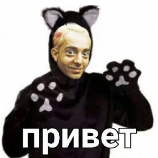 😺