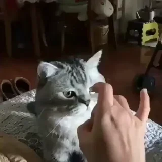😠
