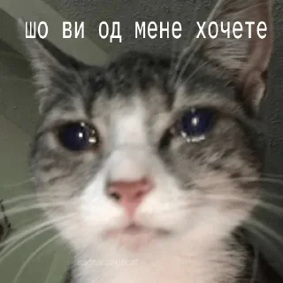 🥹