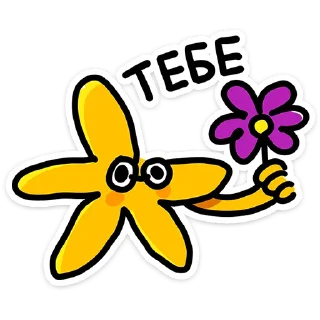 🌺