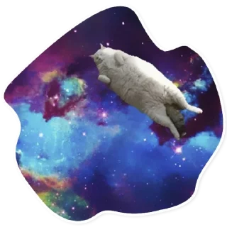 😴