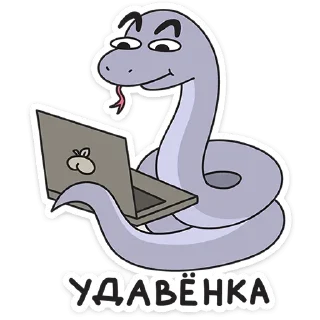 👨‍💻