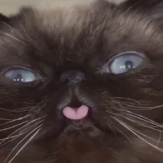 😛
