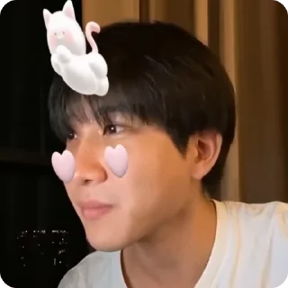 🐱