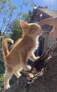 😊