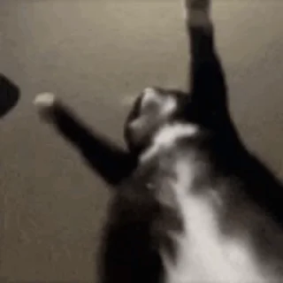 👯‍♀️