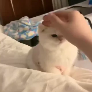❤