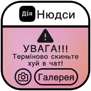 🍆