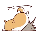 🐶